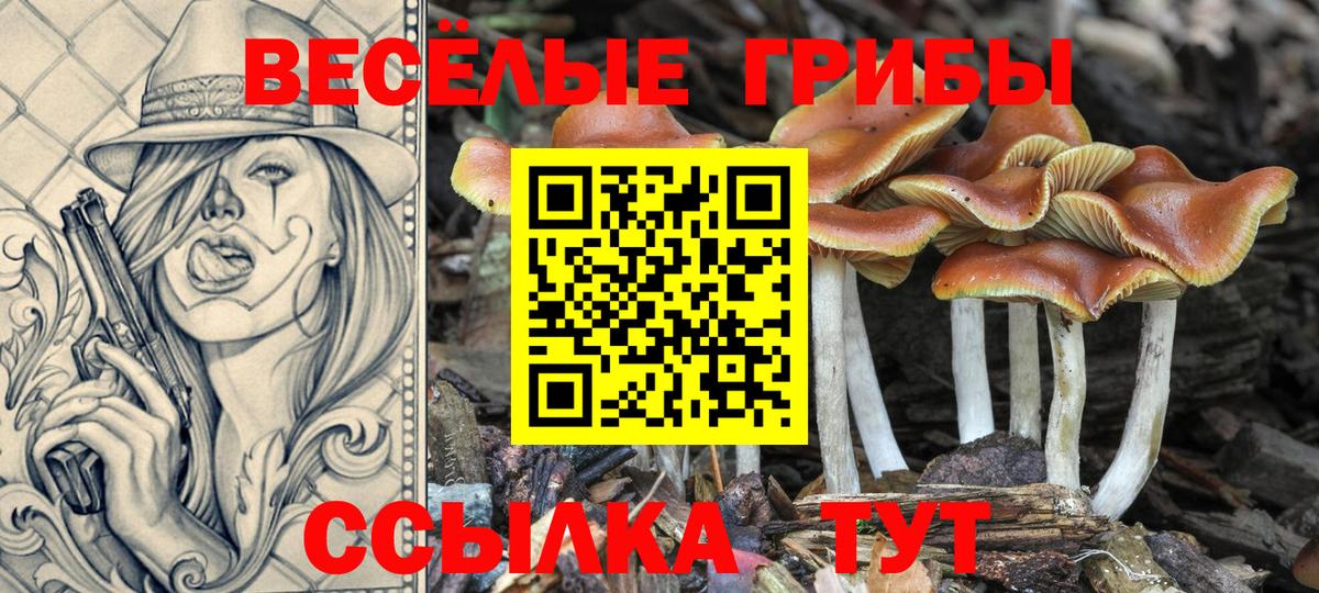 Галлюциногенные грибы GOLDEN TEACHER  Галлюциногенные грибы Magic Shrooms  Вход с VPN  Валуйки 