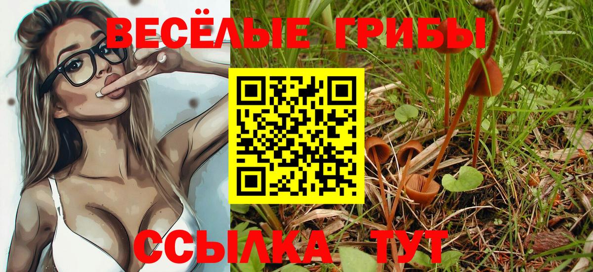 Псилоцибиновые грибы мухоморы Валуйки